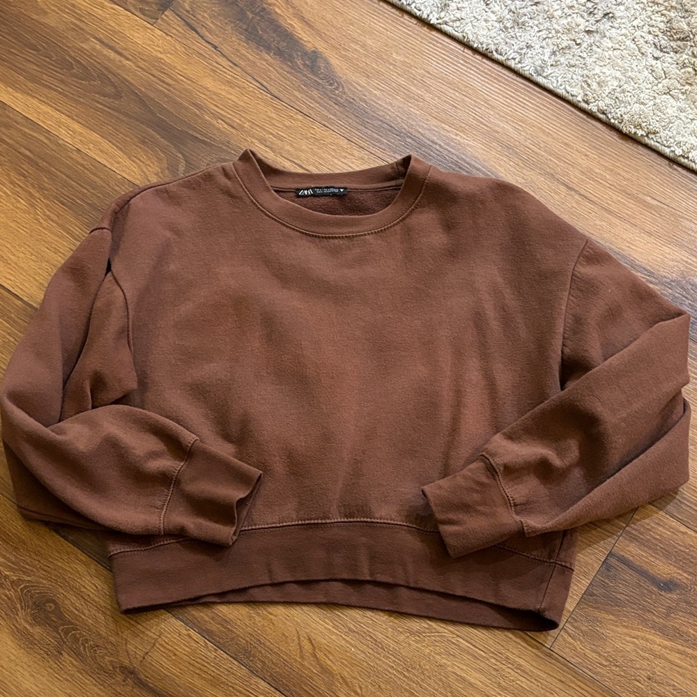 Zara Chocolate Brown Crewneck Sweatshirt
